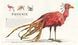 Fantastic Beasts and Where to Find Them Illustrated Edition 1023557 фото 6