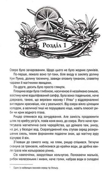 Відьмак. Володарка Озера. Книга 7 154004 фото