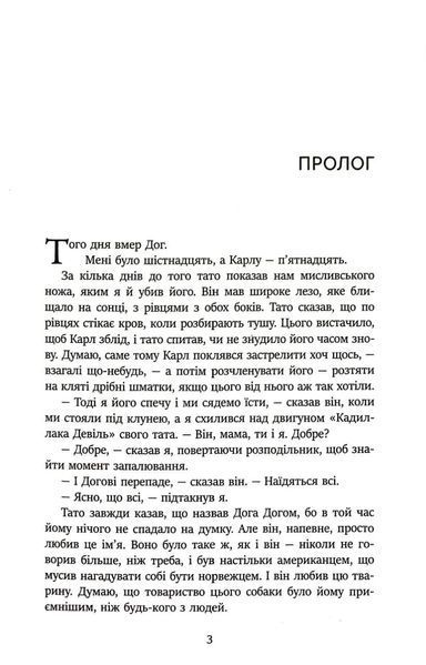Королівство 1019387 фото