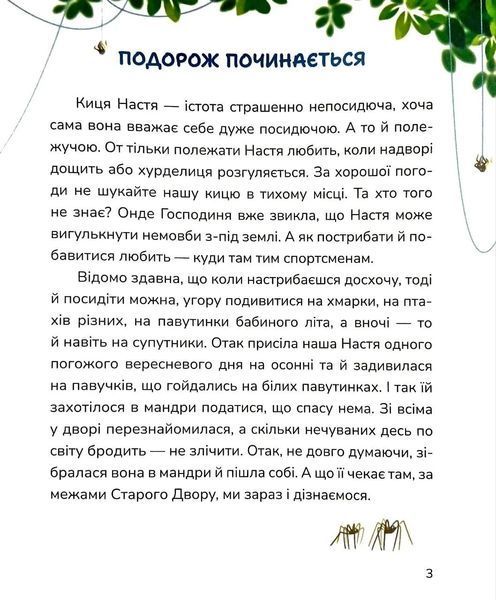 Нові стежки 1034838 фото