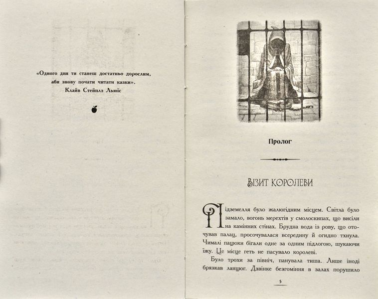 Країна історій. Чари Бажання. Книга 1 173793 фото