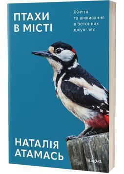 Птахи в місті. Життя та виживання в бетонних джунглях 1028355 фото