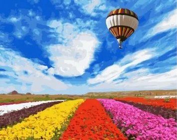 Картина по номерах Bookopt Над полем квітів 40х50 (ВК2126) 1011236 фото