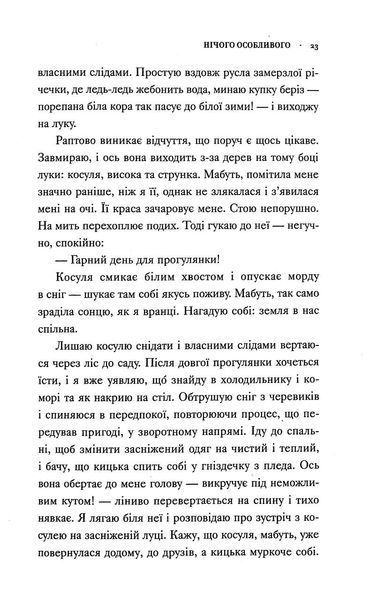 Нічого особливого. Оповідки на добраніч 1017272 фото