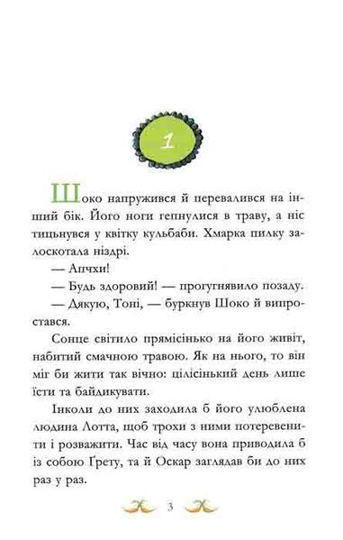 У хвіст і в гриву. Вівсяна банда. Книга 2 159295 фото