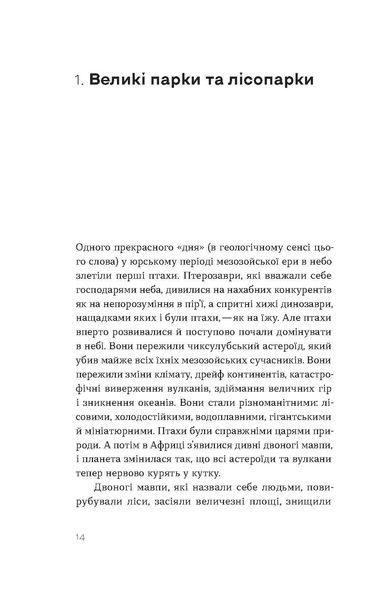 Птахи в місті. Життя та виживання в бетонних джунглях 1028355 фото