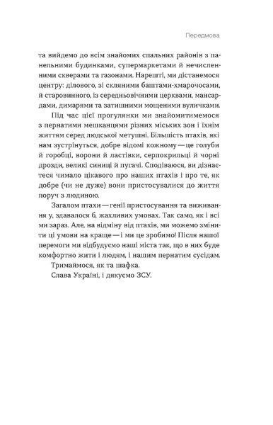 Птахи в місті. Життя та виживання в бетонних джунглях 1028355 фото