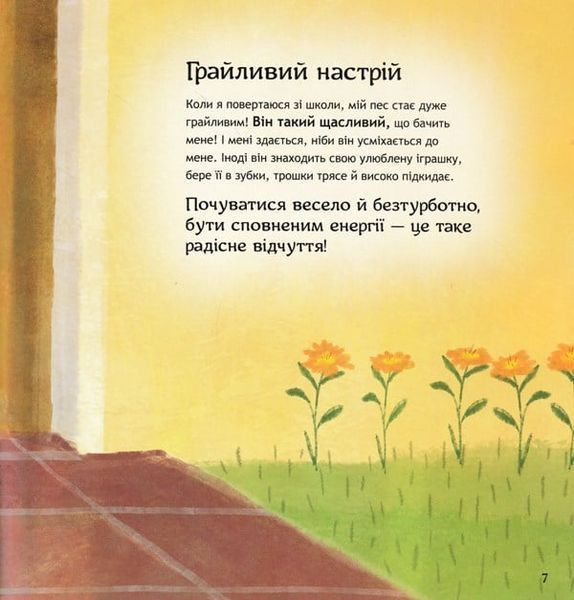 Безліч емоцій. Що означає кожна? Частина 1 164981 фото