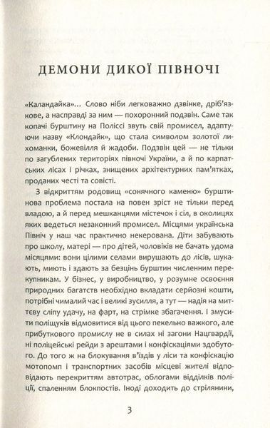 Бурштин 164874 фото