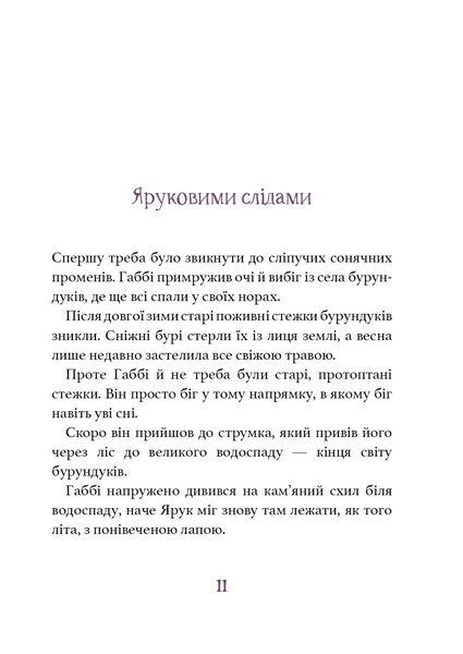 Дивовижний друг. У долині Вовків 1029906 фото