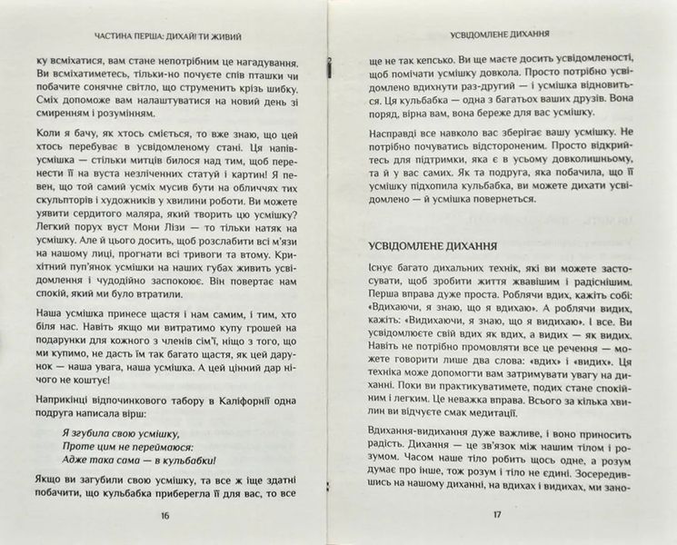 Спокій у кожному кроці. Шлях усвідомлення в повсякденному житті 171900 фото