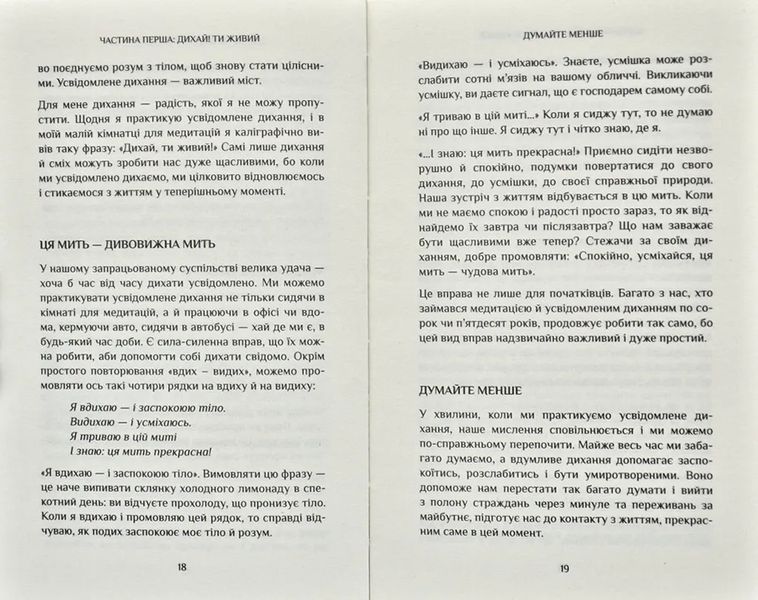 Спокій у кожному кроці. Шлях усвідомлення в повсякденному житті 171900 фото