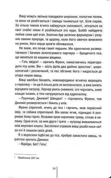 Зруйнована країна 1033952 фото