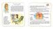 Private needs explained to kids. Let&rsquo;s talk it out with parents and without 1007888 фото 3