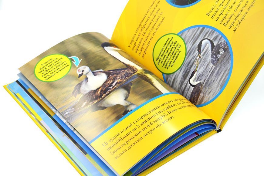 National Geographic Kids. Моя перша енциклопедія. Птахи 1029395 фото