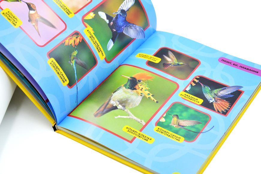 National Geographic Kids. Моя перша енциклопедія. Птахи 1029395 фото