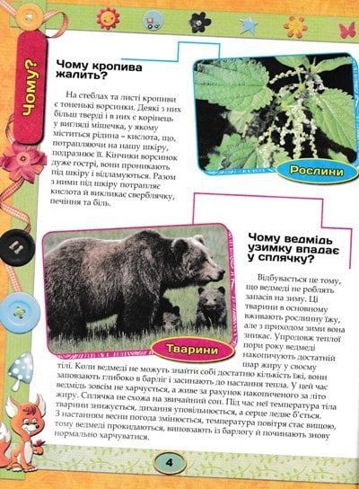 Енциклопедія чомусика 144941 фото