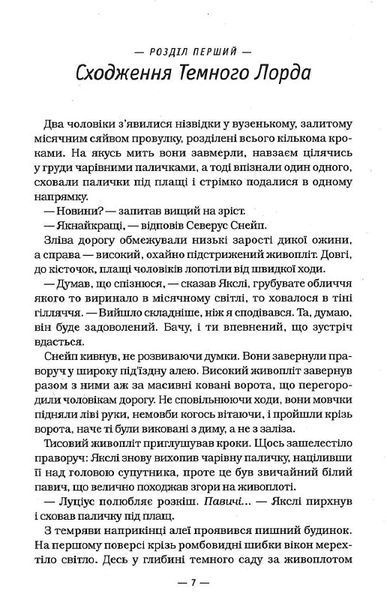 Гаррі Поттер і смертельні реліквії (Частина 7) 70348 фото