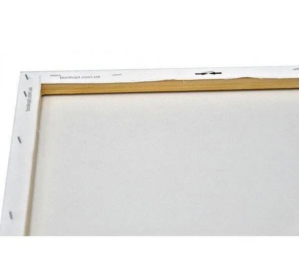 Картина по номерах Bookopt Морський приплив 40х50 (BK2288) 1011583 фото