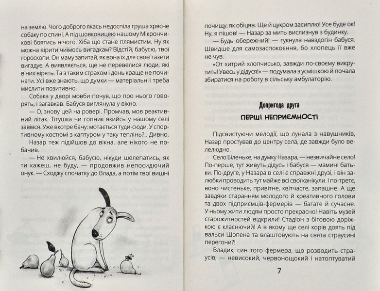 НЛО за селом 1005870 фото