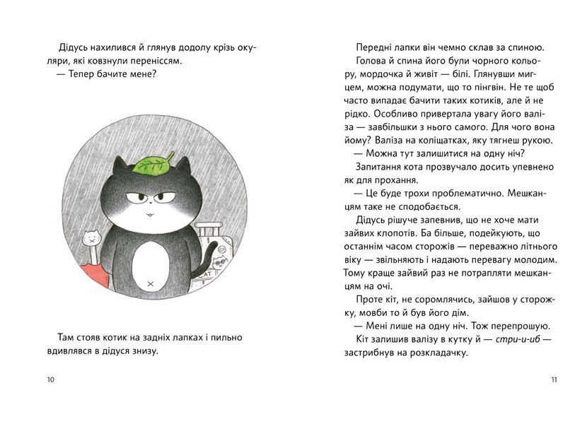Чорний Кіт &mdash; помічник. Книга 1. Дотримуйтеся порядку в резиденції! 1026998 фото
