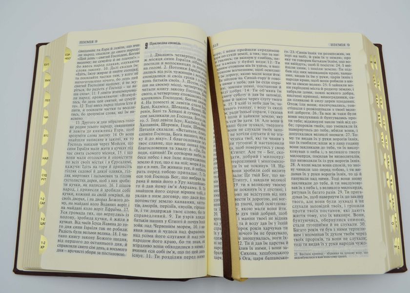 Святе письмо, Індекси, золото, Коричнева (10652) 1019332 фото