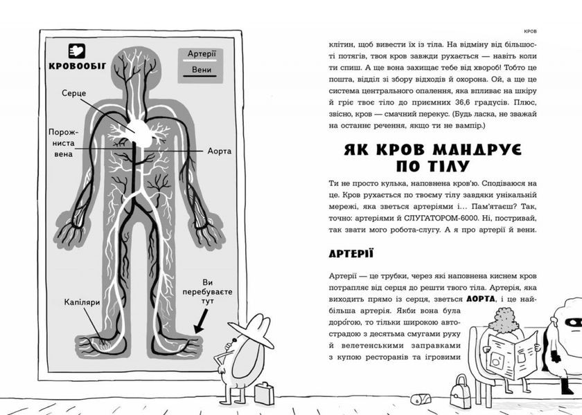 Анатомія для дітей 1014899 фото