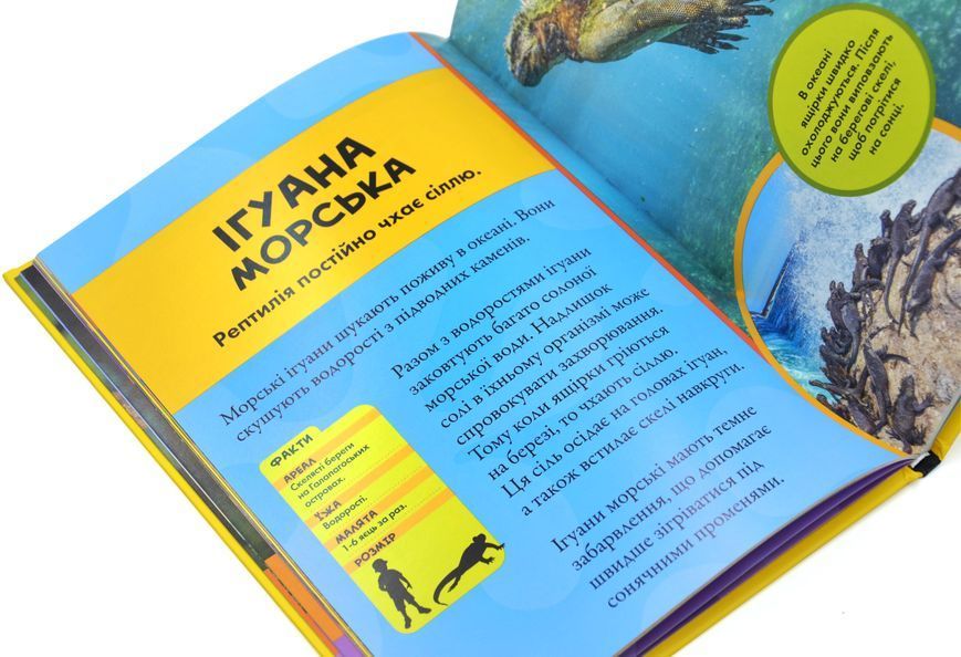 National Geographic. Моя перша енциклопедія. Рептилії та амфібії 1029398 фото