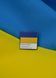 Пін (значок) Bookopt Pantone 1020788 фото 2