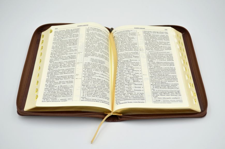 Біблія сучасний переклад 10563 бордова (замок, замінник шкіри) 1024642 фото