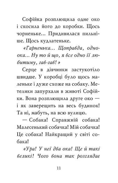 Знайомтеся, Шерлок! Як воно - бути йорком? 1019534 фото