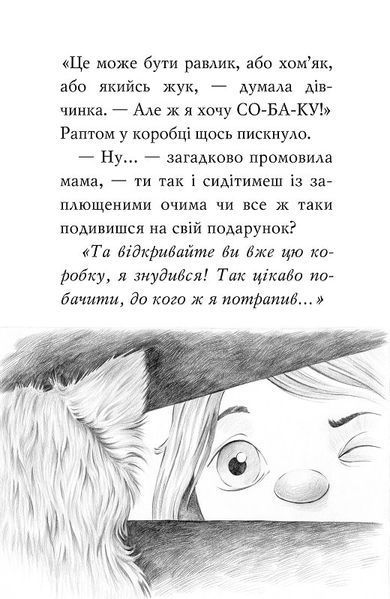 Знайомтеся, Шерлок! Як воно - бути йорком? 1019534 фото