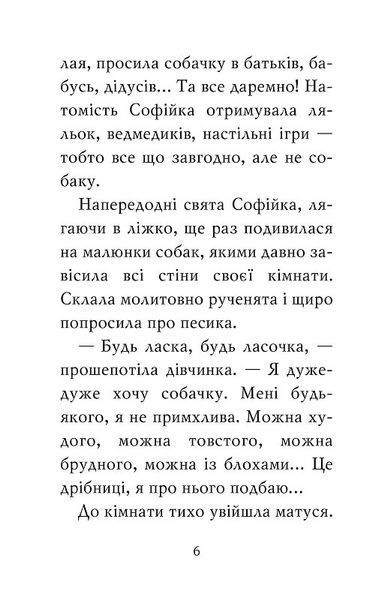 Знайомтеся, Шерлок! Як воно - бути йорком? 1019534 фото