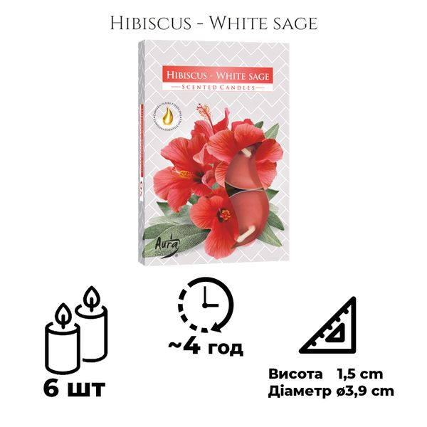 Набір свічок Bispol 6 штук з запахом: Гібіскус-Шавілія (P15-356) 1016256 фото