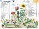 Велика книга квітів 1015514 фото 3