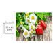 Картина по номерах Bookopt Сунички 40х50 (BK1418) 1011491 фото 11