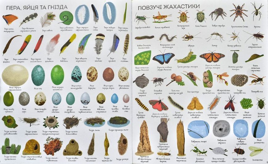 1000 назв природи 170873 фото