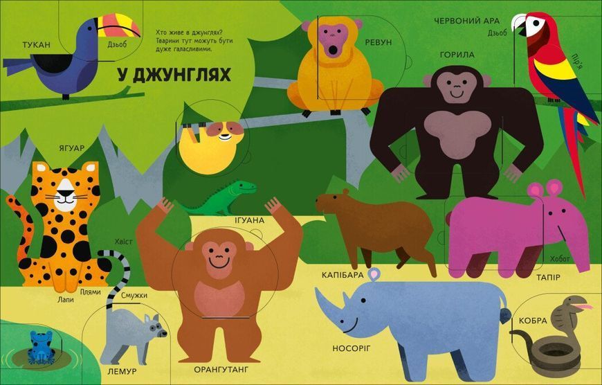 Тварини 1031559 фото