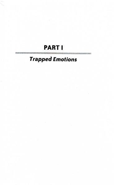 The Emotion Code 1028869 фото