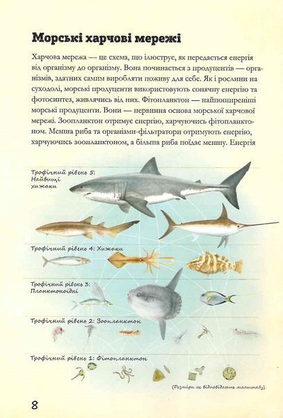 Морські тварини світу 1023951 фото