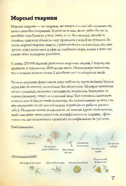 Морські тварини світу 1023951 фото