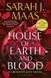 Crescent City: House of Earth and Blood 1023587 фото 1