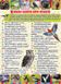 Енциклопедія про тварин. Дивовижні факти (синя обкладинка) 158102 фото 2