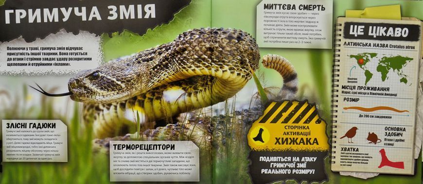 iEXPLORE. Хижаки 168242 фото
