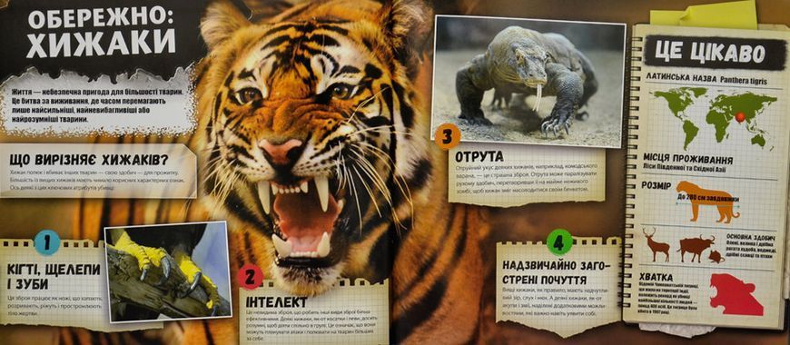 iEXPLORE. Хижаки 168242 фото