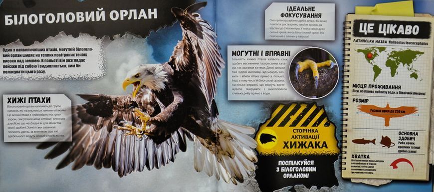 iEXPLORE. Хижаки 168242 фото