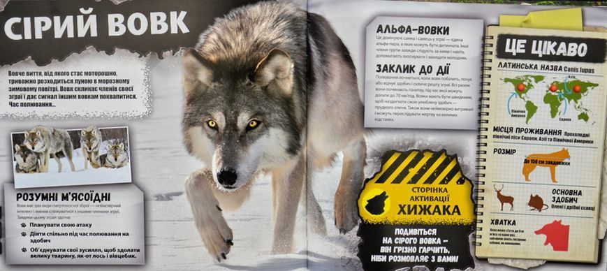iEXPLORE. Хижаки 168242 фото