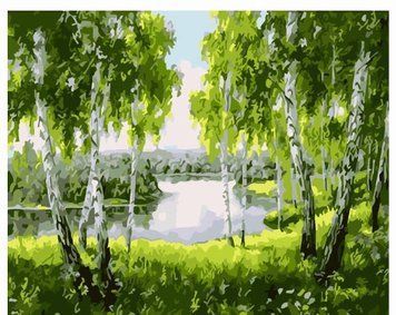 Картина по номерах Bookopt Березовий гай 40х50 (BK1269) 1004784 фото