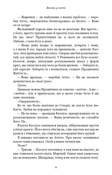 Вогонь у плоті. Плоть і вогонь. Книга 3 1030702 фото