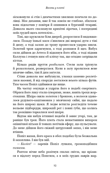 Вогонь у плоті. Плоть і вогонь. Книга 3 1030702 фото